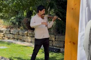 Luís Matos de Almeida - Violinista - 13