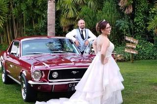 Glamour Car - 17
