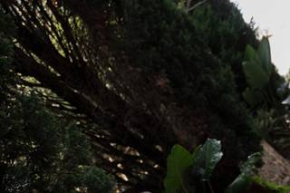 Casa dos Meus Avós - 8