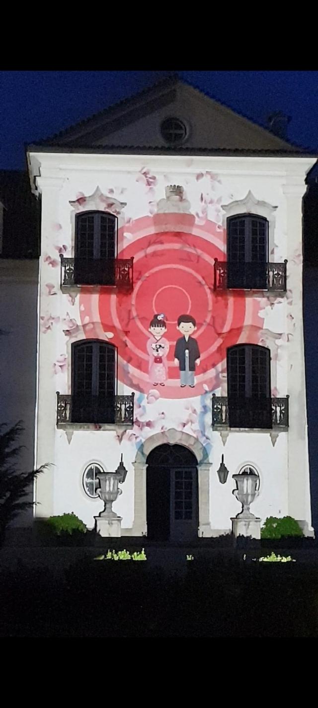 Miguel Estima Video Mapping - 1