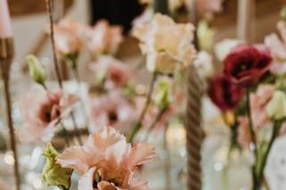 Carolina Miguel Fotografia - 6