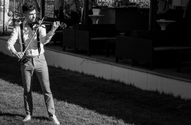 HV Violin Performer - 1