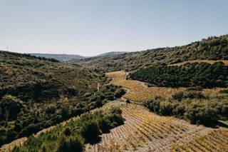Quinta da Murta - 32