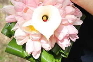 Dream Image - 11