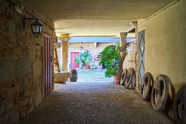 Quinta dos Choupos - Choupal dos Melros 3