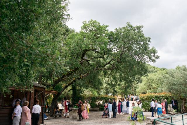 Quinta dos Birreiros 4