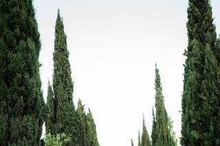 Anna Nunes Photography - 10
