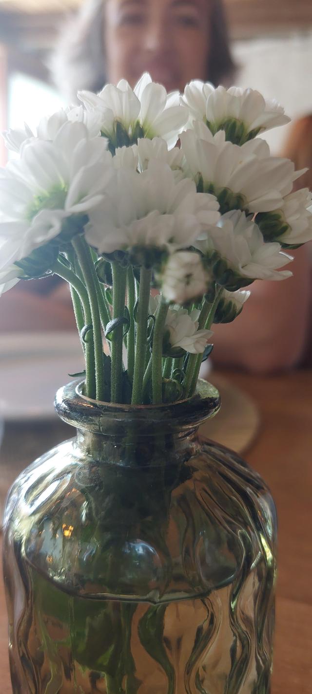 Casa dos Meus Avós - 3