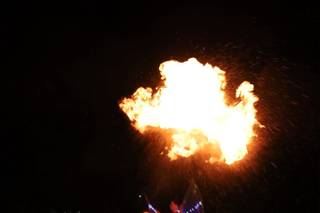 Quinta da Fontinha - 6