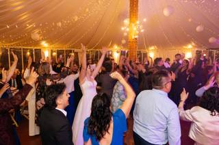 Renas Party Groove - 5