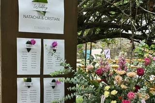 Crisdecor - 5