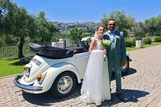 Dream Car 2CV & VW Beetle - 7