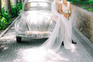 A História das Flores - 14