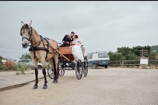 Helder Silva Fotógrafo - 7