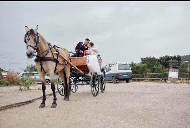 Helder Silva Fotógrafo - 3