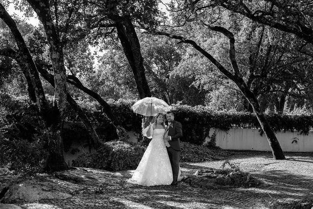 Valéria Pereira Photography - 1