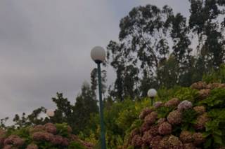 Quinta da Igreja - 6