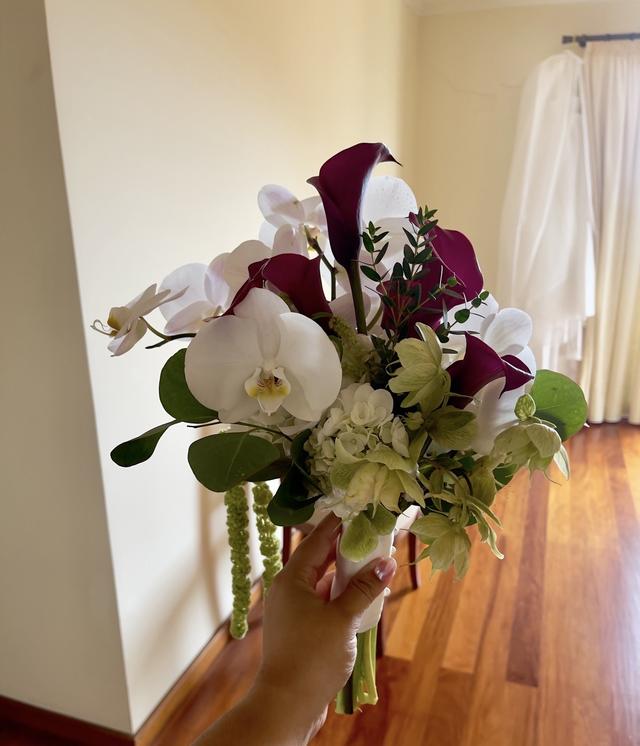 A Tulipa - 2