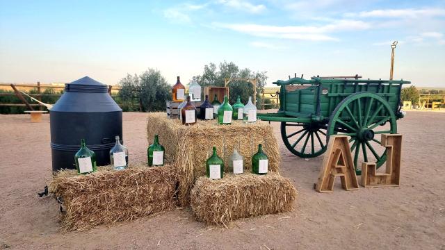 Mena Cherrie Bright Parties - 3