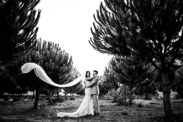 Pedro Castro Fotógrafo 3