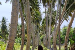 clickviaja, Setúbal - 5