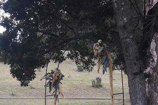 Batalha Golf Course 1