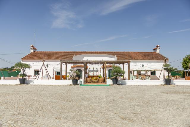 Quintal Dom Quixote - 3