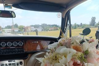 Tendências Naturais - 7