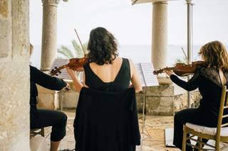 String Quartet Solutions - 14