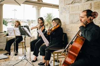 String Quartet Solutions - 15