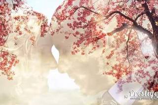 Prestigefoto - 18