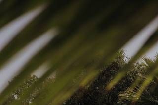 Sweet Melody Of Life - 5