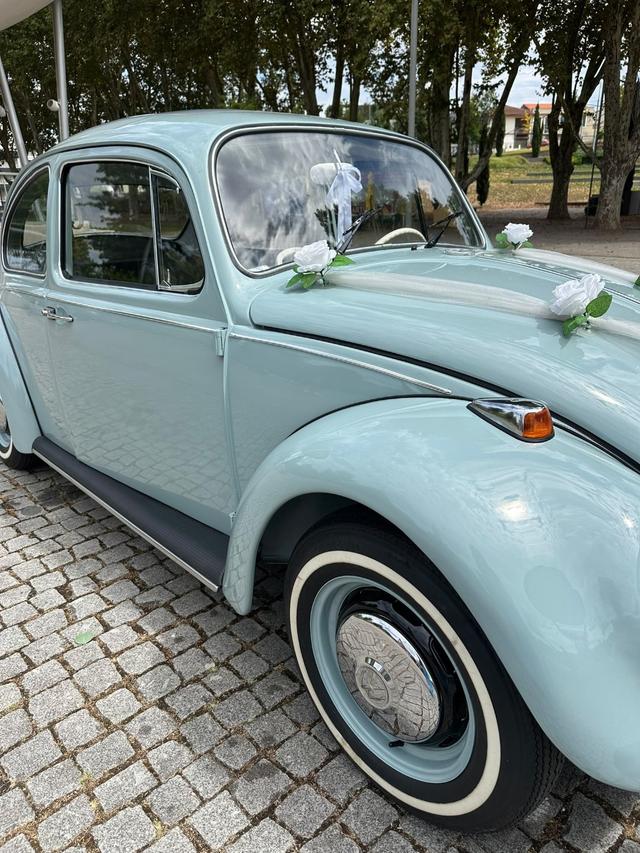 BelaVista Eventos - 3