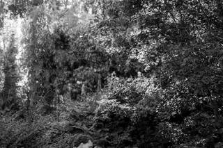 Hugo de Sousa Filmmaker - 14