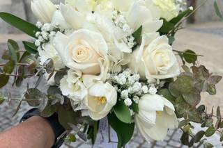 Tendências Naturais - 41