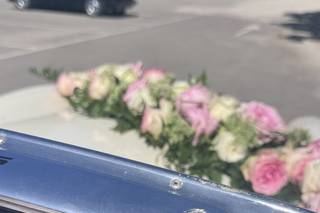 Classic Car Rodrigues - 7