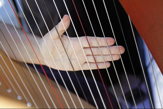 Espiral Trio - Música celta - 4