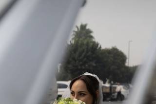 Colibri Flowers by André Aires - 8