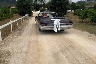 DVL Car Collection - 5