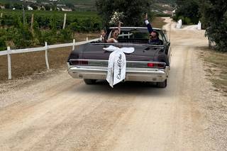 DVL Car Collection - 6