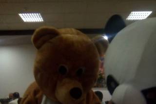 Deslumbrestrela - 10