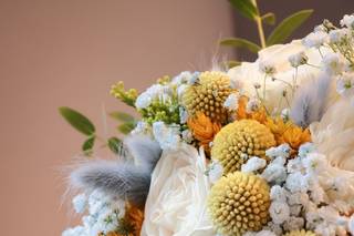 Sete Folhas - 13