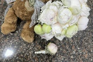 Tendências Naturais - 29