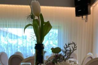 Sete Folhas - 23