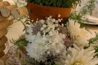 Sete Folhas - 25