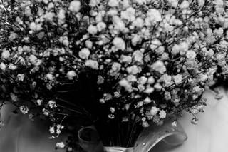 Mário Libório Fotografia - 7