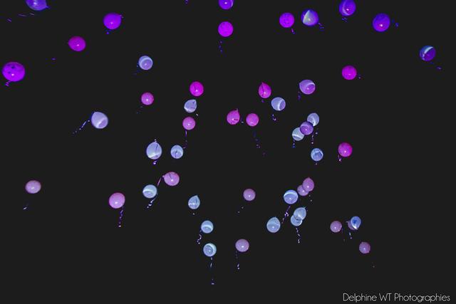 Push Up Produções - 3