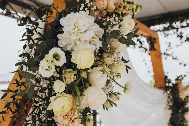 Papoila Vermelha - 1