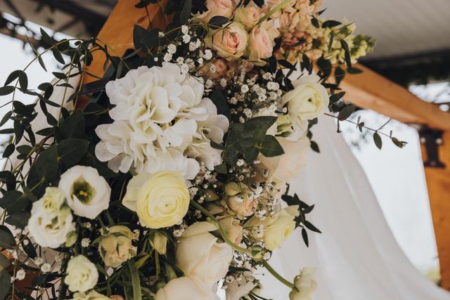 Papoila Vermelha - 3