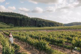 Quinta do Gradil - 15